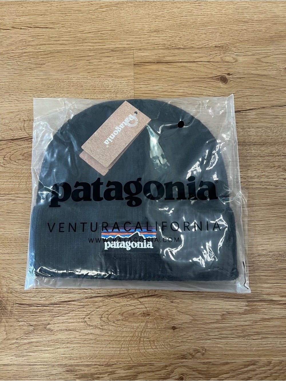 Patagonia beanie NWT